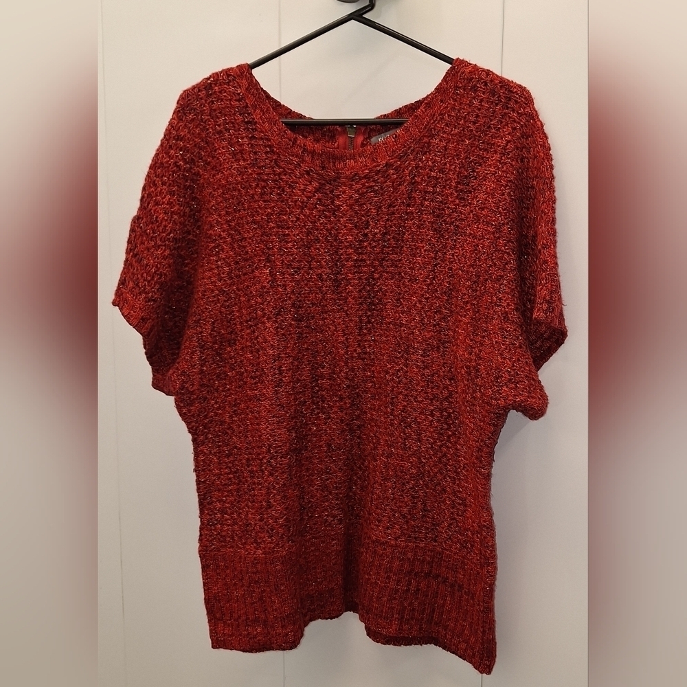 Red Sparkles Short Sleeve Sweater 1X